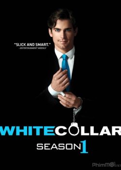 Banner Phim Cổ Cồn Trắng Phần 1 (White Collar Season 1)