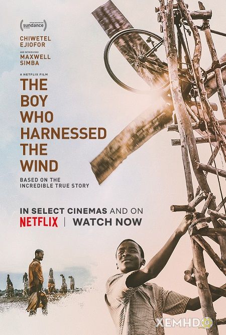 Banner Phim Cậu Bé Khai Thác Gió (The Boy Who Harnessed The Wind)