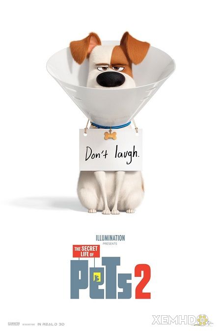 Banner Phim Đẳng Cấp Thú Cưng 2 (The Secret Life Of Pets 2)