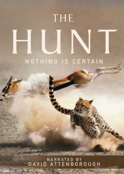 Banner Phim Săn Mồi (The Hunt BBC)