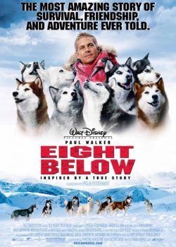 Xem Phim Âm Tám Độ (Eight Below)