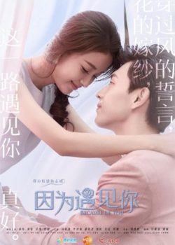 Poster Phim Bởi Vì Được Gặp Em (Because Of You)