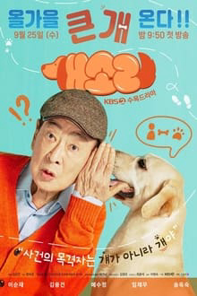 Poster Phim Chú Chó Biết Tuốt (Dog Knows Everything)