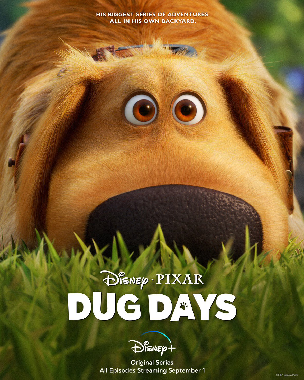 Poster Phim Cuộc Phiêu Lưu Của Dug (Dug Days)