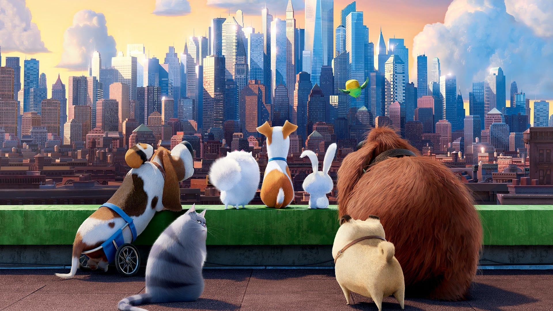 Xem Phim Đẳng Cấp Thú Cưng (The Secret Life of Pets)