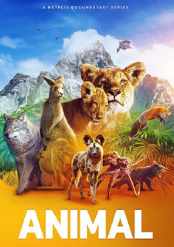 Xem Phim Động vật (Phần 2) (Animal (Season 2))