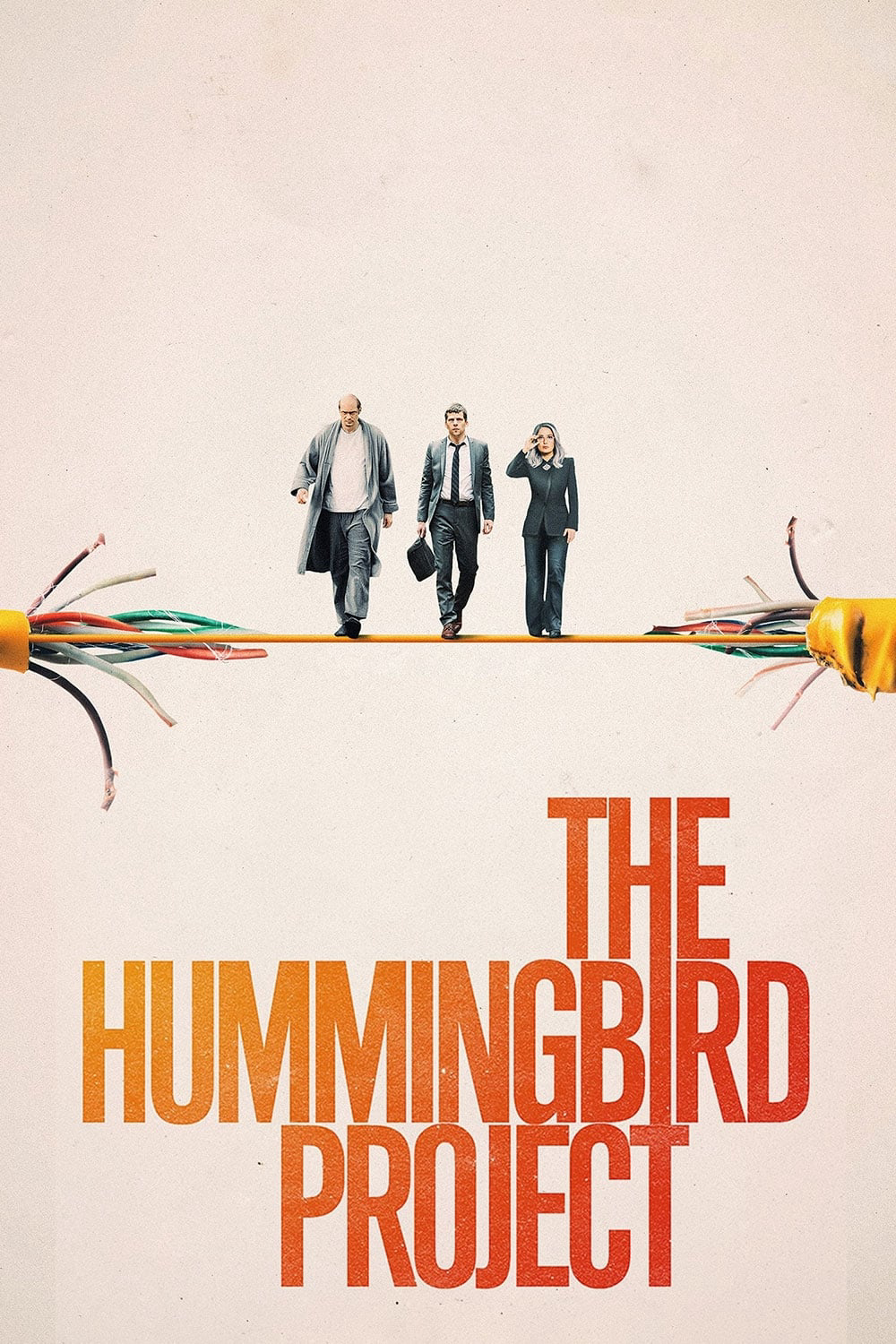 Poster Phim Dự Án Chim Ruồi (The Hummingbird Project)