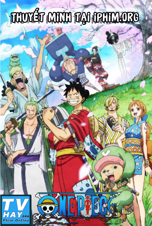 Xem Phim Hải Tặc Mũ Rơm (One Piece)