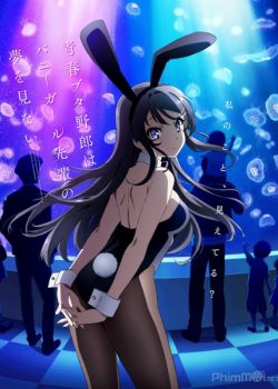 Xem Phim Hội Chứng Tuổi Mới Lớn (Seishun Buta Yarou wa Bunny Girl Senpai no Yume wo Minai)