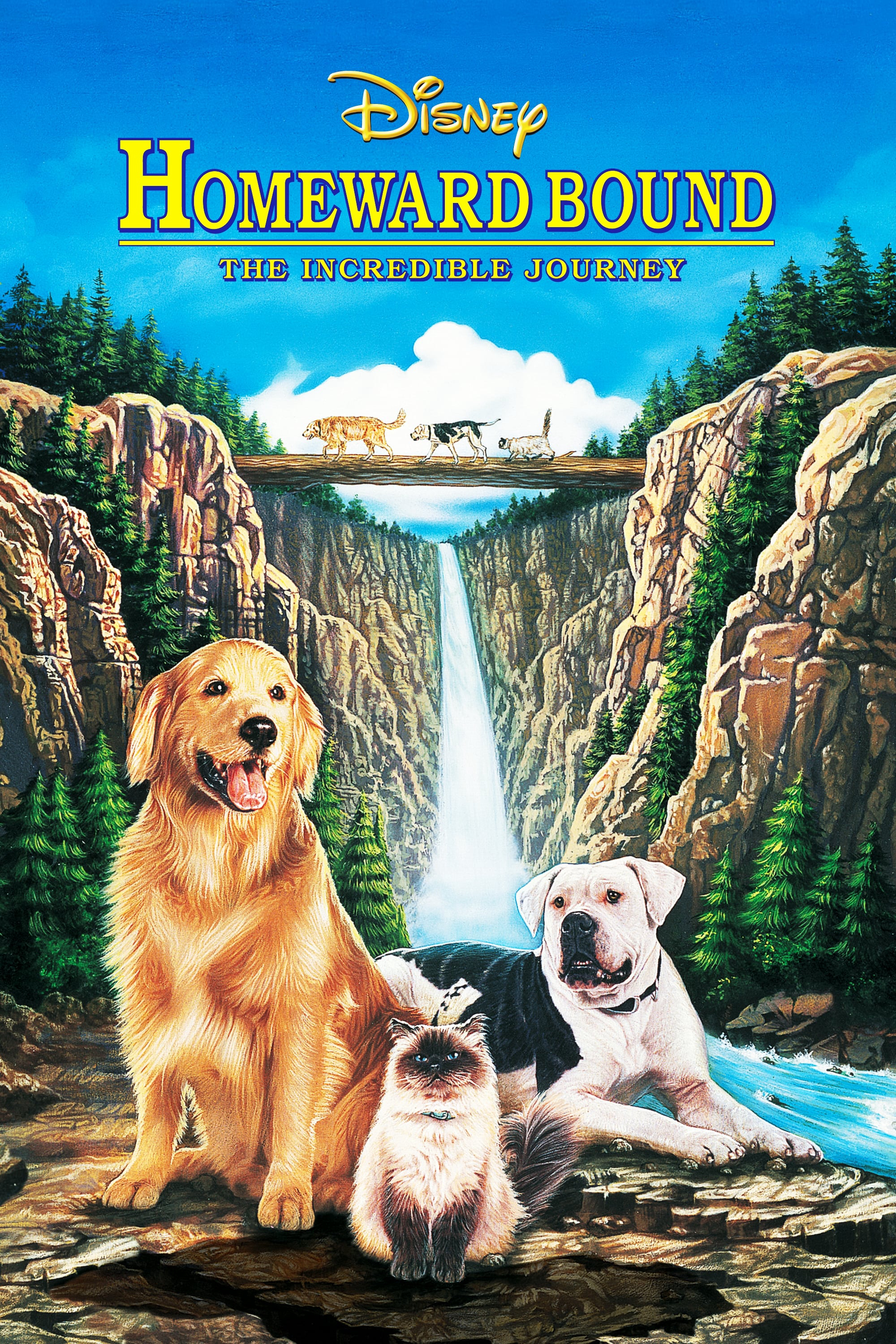 Xem Phim Homeward Bound: The Incredible Journey (Homeward Bound: The Incredible Journey)