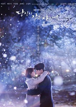 Xem Phim Khi Nàng Say Giấc - While You Were Sleeping (While You Were Sleeping 2017)