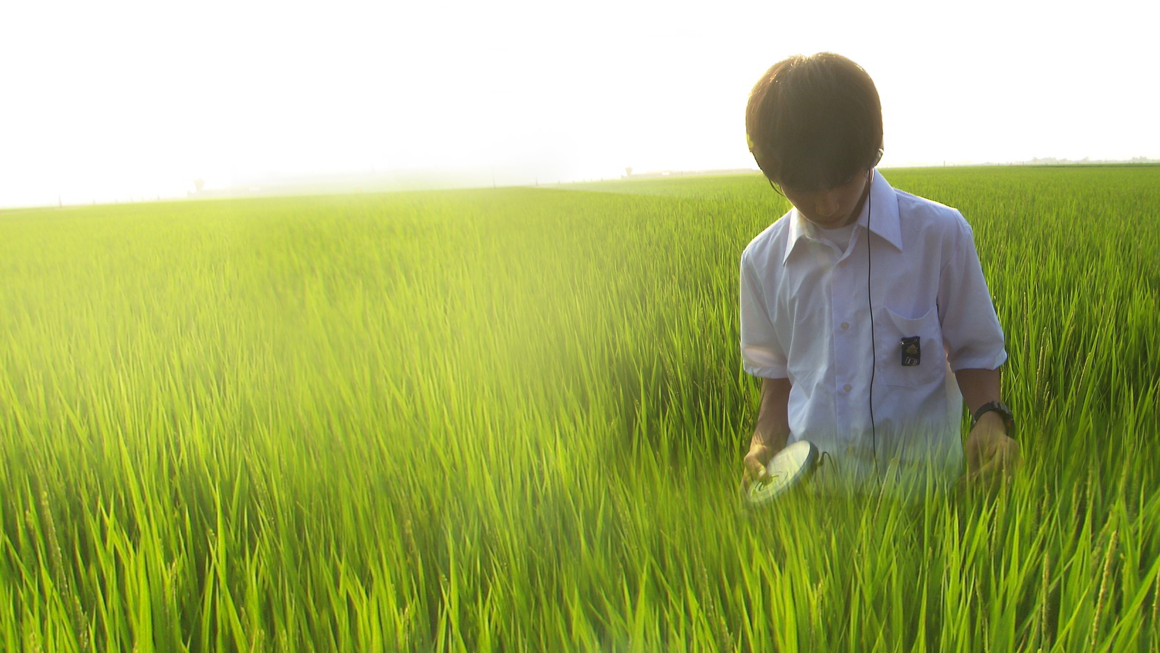 Xem Phim Khúc Cầu Siêu Của Tuổi Trẻ (All About Lily Chou-chou)