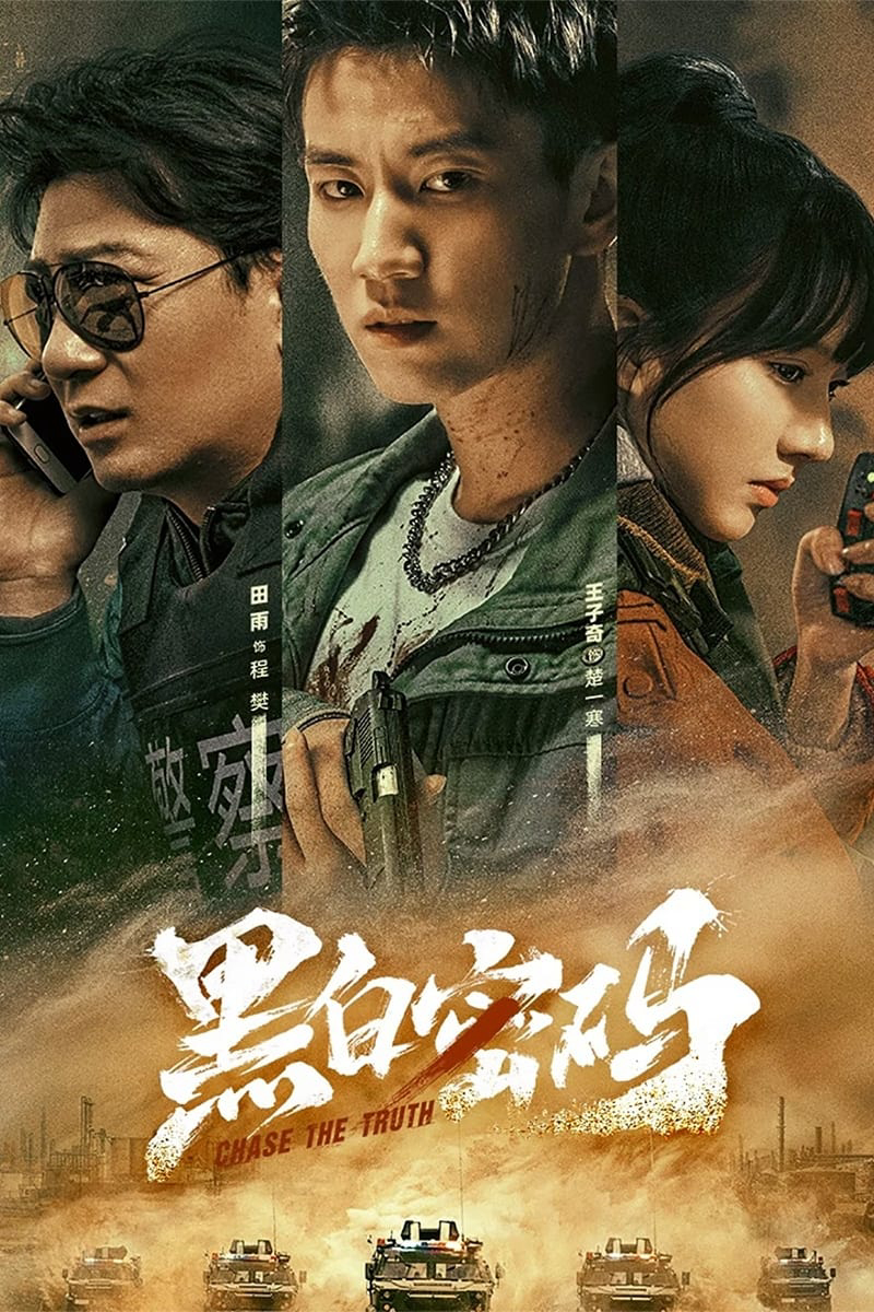 Poster Phim Mật Mã Đen Trắng (Chase The Truth)