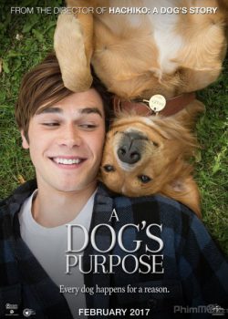 Xem Phim Mục Đích Sống Của Một Chú Chó (A Dog's Purpose)