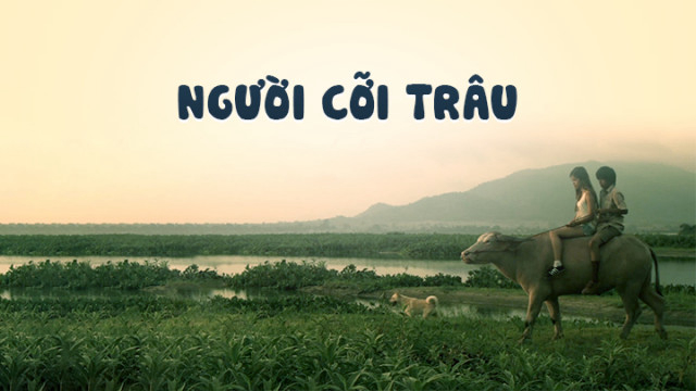 Xem Phim Người Cỡi Trâu (Buffalo Rider)