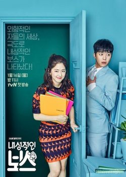 Xem Phim Ông Chủ Nhút Nhát (Introverted Boss)