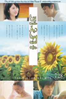 Poster Phim Kimi no Suizo wo Tabetai LIVE ACTION (Let Me Eat Your Pancreas, I Want to Eat Your Pancreas, TÔI MUỐN ĂN TỤY CỦA CẬU)