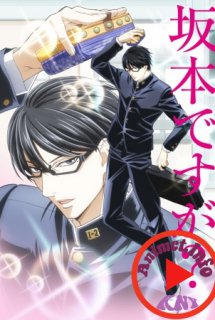 Poster Phim Sakamoto desu ga? (Haven't You Heard? I'm Sakamoto)