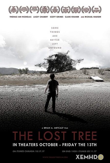 Xem Phim Linh Hồn Quỷ Dữ (The Lost Tree)