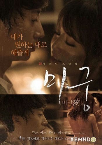 Poster Phim Maze: Mối Tình Bí Mật (Maze: Secret Love)