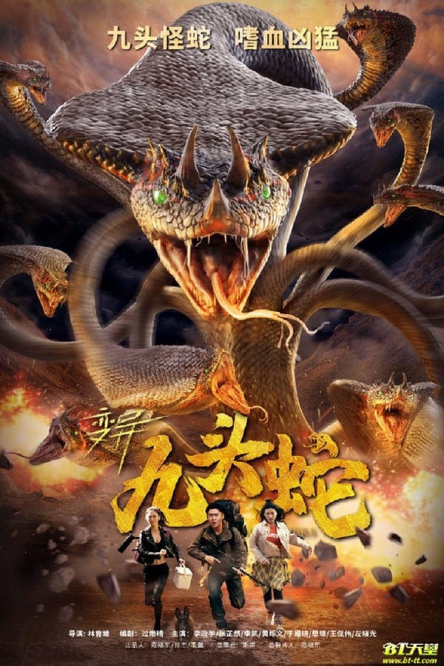 Poster Phim Rắn Chín Đầu Đột Biến (Variation Hydra)