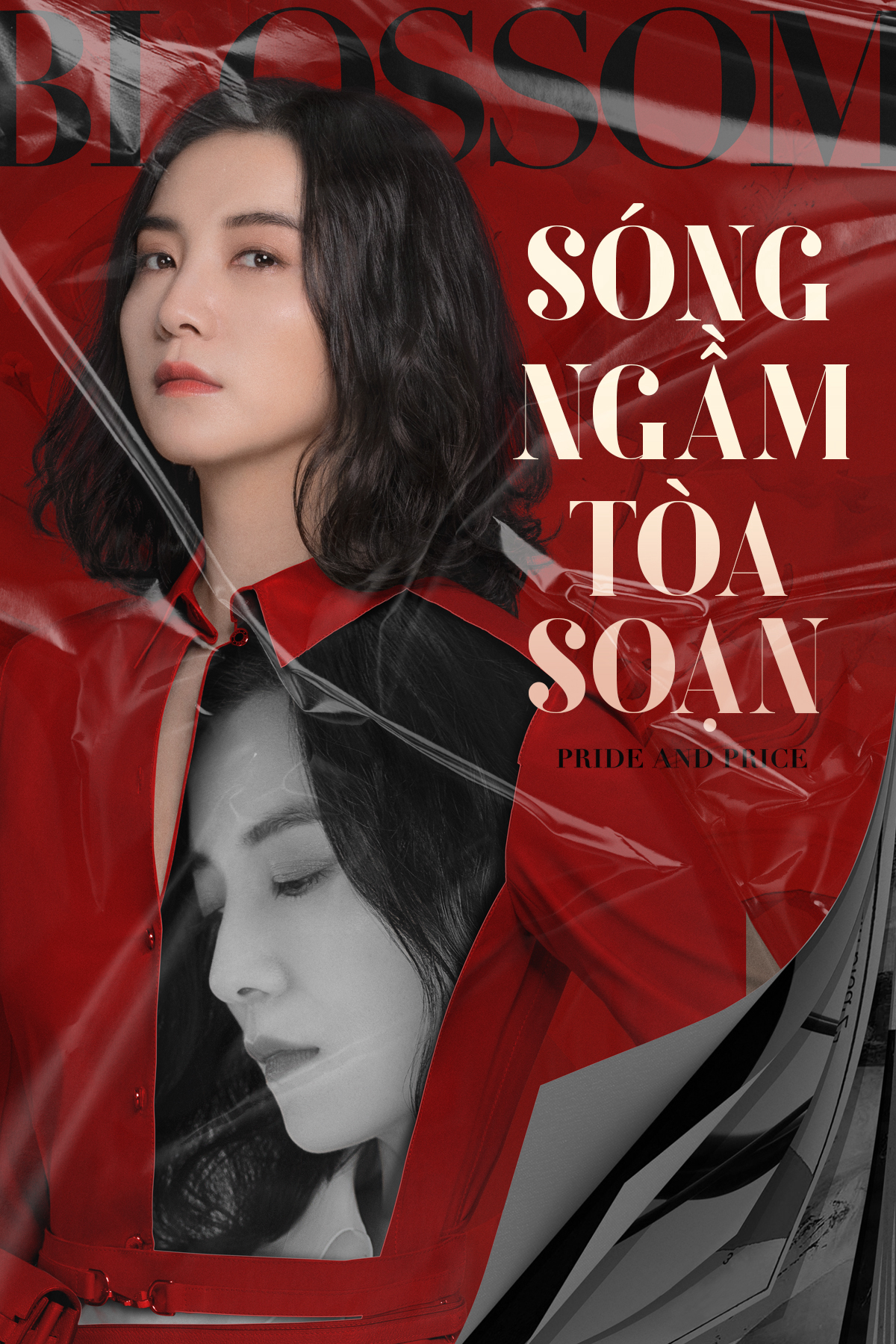 Poster Phim Sóng Ngầm Tòa Soạn (Pride And Price)