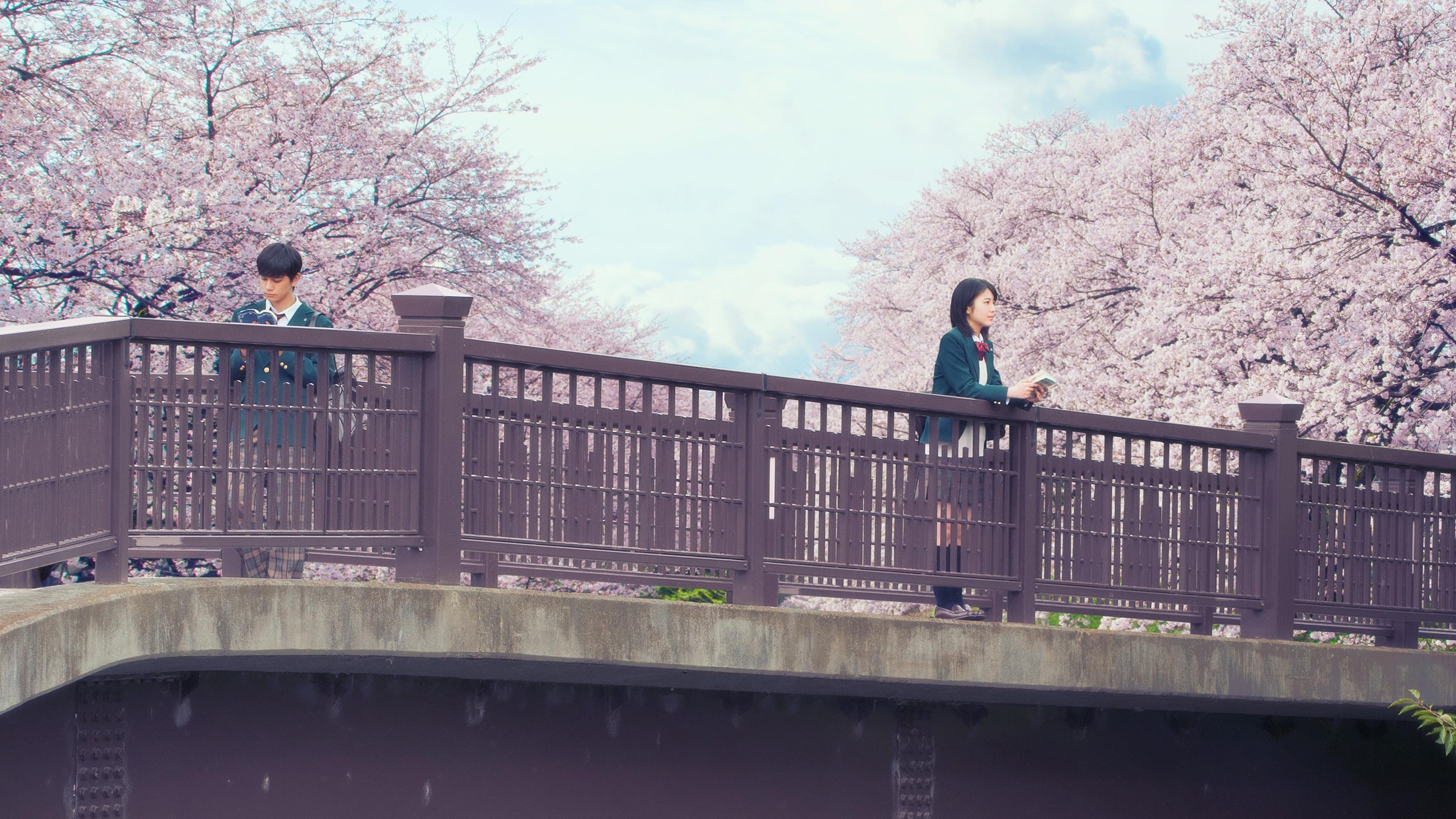 Xem Phim Tớ Muốn Ăn Tụy Của Cậu! (Let Me Eat Your Pancreas)