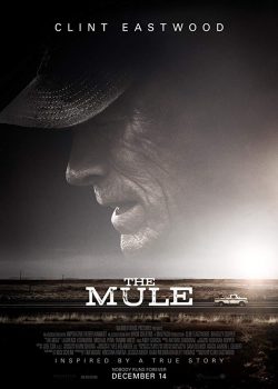 Xem Phim Trùm Ma Tuý (The Mule)